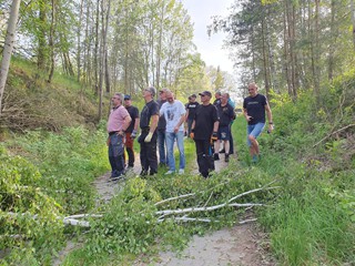 Maibaum-2024_10