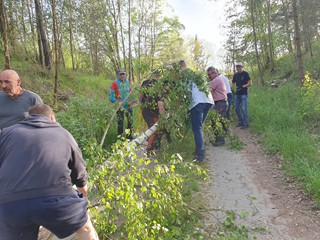 Maibaum-2024_14