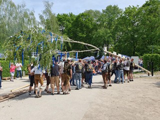 Maibaum-2024_51