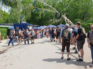 Maibaum-2024_56