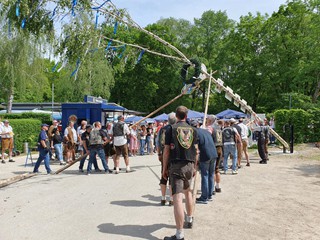 Maibaum-2024_57