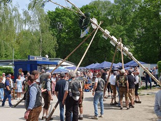 Maibaum-2024_59