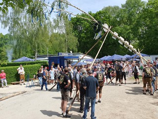 Maibaum-2024_60