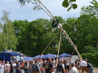 Maibaum-2024_61