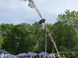 Maibaum-2024_62