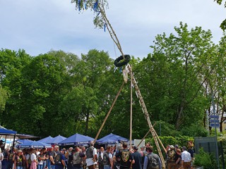 Maibaum-2024_63