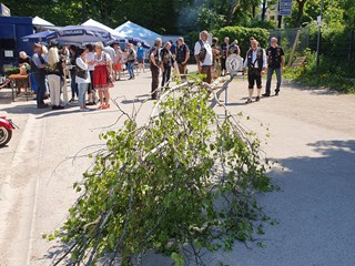 Maibaum-aufstellen-2025_1