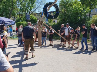 Maibaum-aufstellen-2025_16