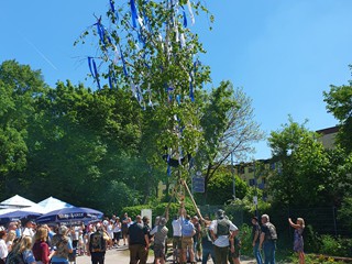 Maibaum-aufstellen-2025_18