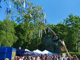 Maibaum-aufstellen-2025_19