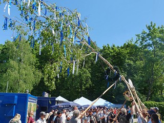 Maibaum-aufstellen-2025_20