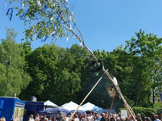Maibaum-aufstellen-2025_22