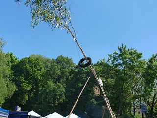Maibaum-aufstellen-2025_23