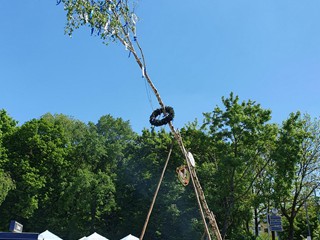 Maibaum-aufstellen-2025_24