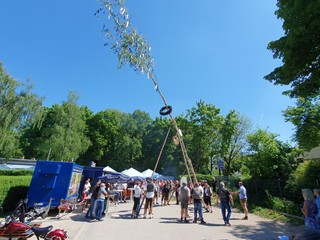 Maibaum-aufstellen-2025_25