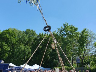 Maibaum-aufstellen-2025_27