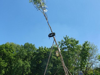 Maibaum-aufstellen-2025_29
