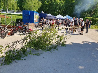 Maibaum-aufstellen-2025_3