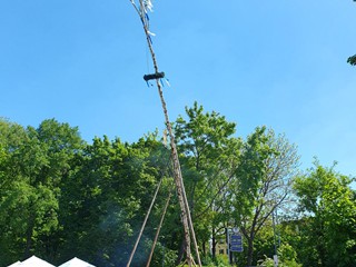 Maibaum-aufstellen-2025_33