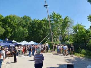 Maibaum-aufstellen-2025_34