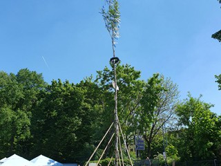 Maibaum-aufstellen-2025_36