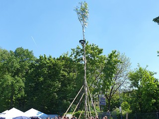 Maibaum-aufstellen-2025_37