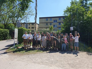 Maibaum-aufstellen-2025_45
