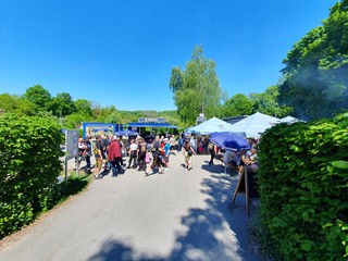 Maibaum-aufstellen-2025_6