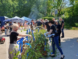 Maibaum-aufstellen-2025_8