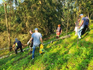 Maibaum-holen-2025_10