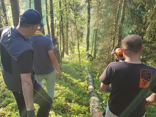 Maibaum-holen-2025_11