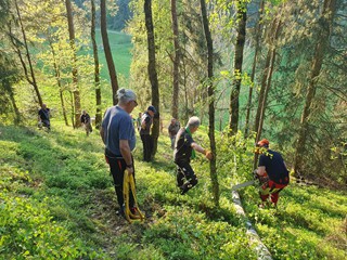 Maibaum-holen-2025_13