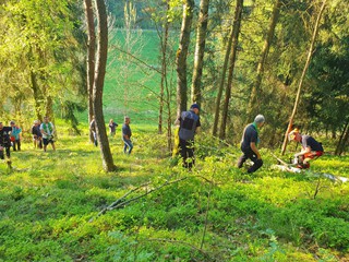 Maibaum-holen-2025_14