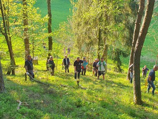 Maibaum-holen-2025_15