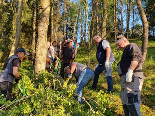 Maibaum-holen-2025_16