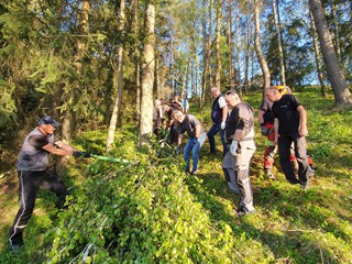 Maibaum-holen-2025_17