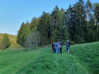 Maibaum-holen-2025_2