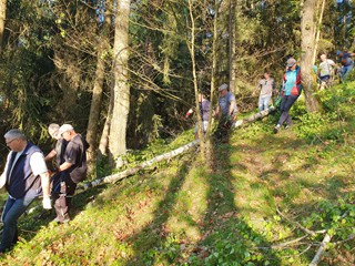 Maibaum-holen-2025_20