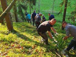 Maibaum-holen-2025_21