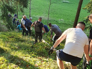 Maibaum-holen-2025_22