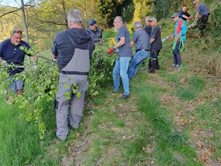 Maibaum-holen-2025_23