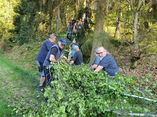 Maibaum-holen-2025_25