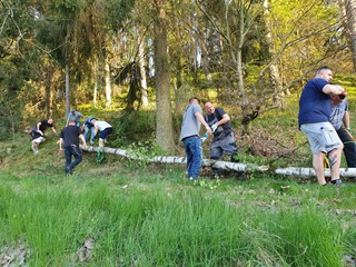 Maibaum-holen-2025_29