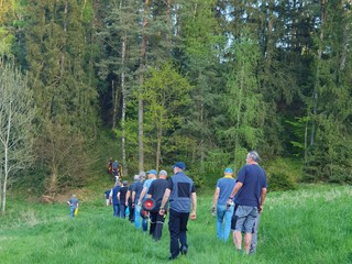 Maibaum-holen-2025_3