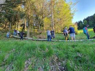 Maibaum-holen-2025_30