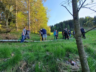 Maibaum-holen-2025_31
