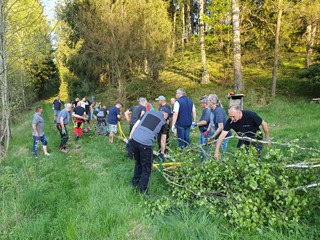 Maibaum-holen-2025_32