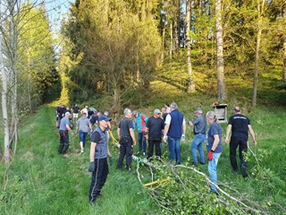 Maibaum-holen-2025_33