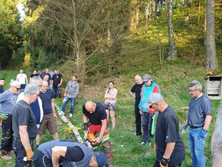 Maibaum-holen-2025_35