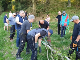 Maibaum-holen-2025_36